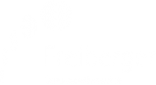 Freiberger Compound Materials GmbH